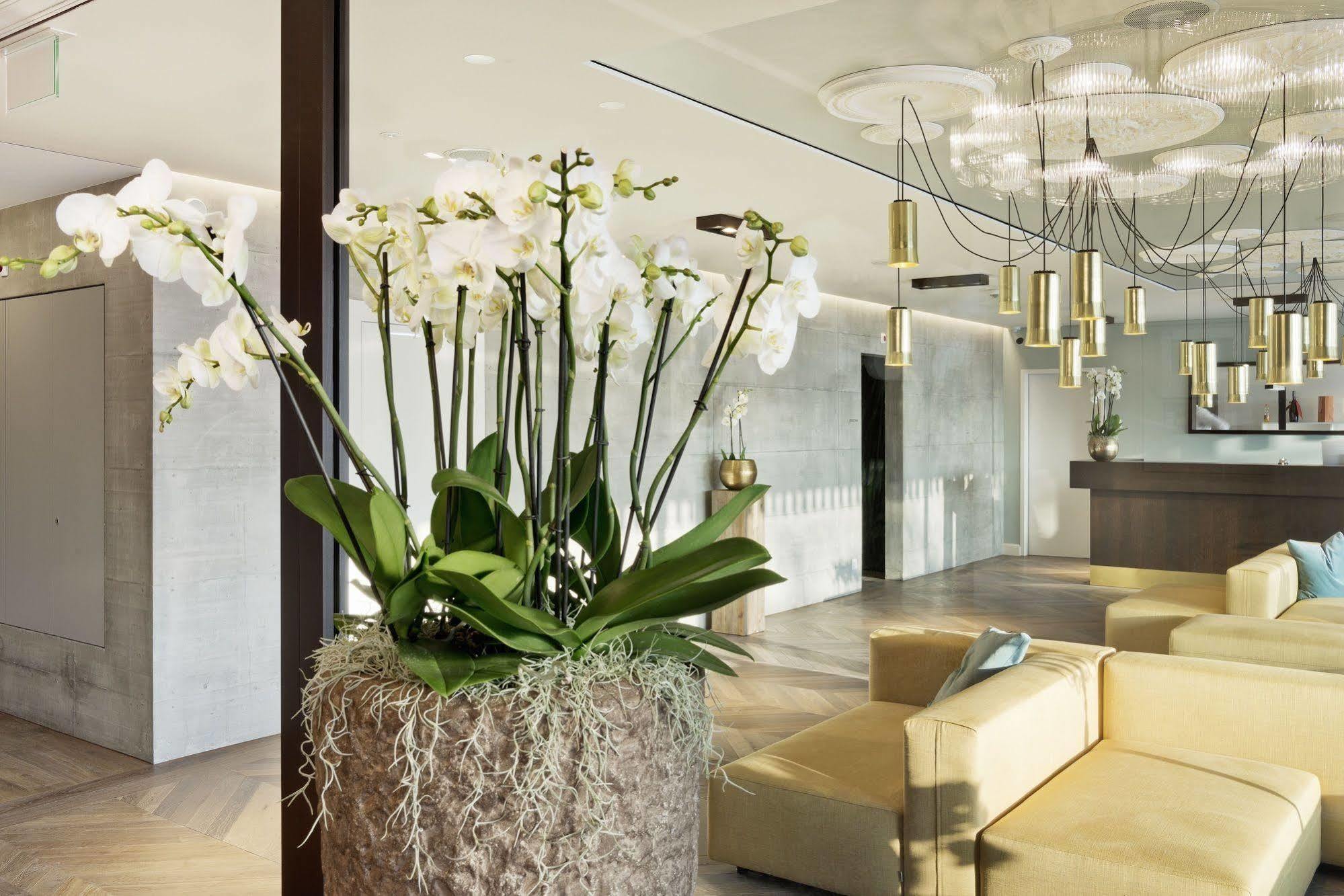 Hotel Kettenbruecke Арау Екстериор снимка